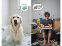 10 Reasons Why Dogs Are Cleaner than Human