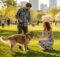 How to Make Your Dog Get Along With Your Girlfriend? 10 Easy Ways