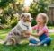 Are Australian Shepherds Good With Kids? – Truth Revealed