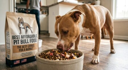 How to Choose the Right Formula (Food) for Pitbulls