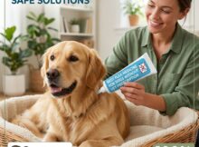 Best Flea Medicine for Dogs Without Vet Prescription