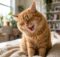 Why Is My Cat Sneezing: All You Need To Know